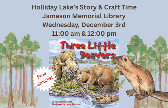 Dec 2025 Hollidsy Lake Story and Craft (540 x 350 px)