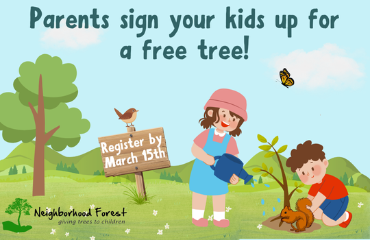 Free Trees 2025 (540 x 350 px)