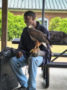 Rodney's Raptors