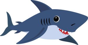 Cartoon Shark