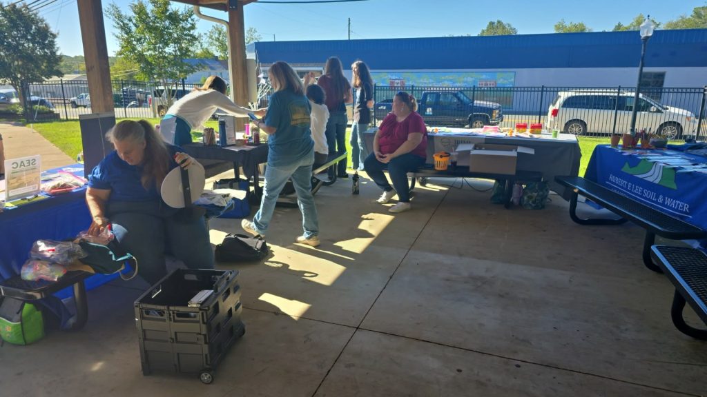 Fall Festival